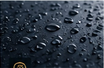 Water beading on protected paint
